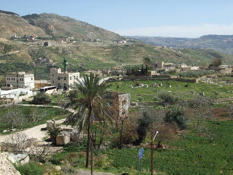 Wadi es Sir Tal (3) 